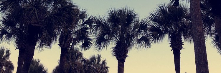 zachribeiro's profile banner image