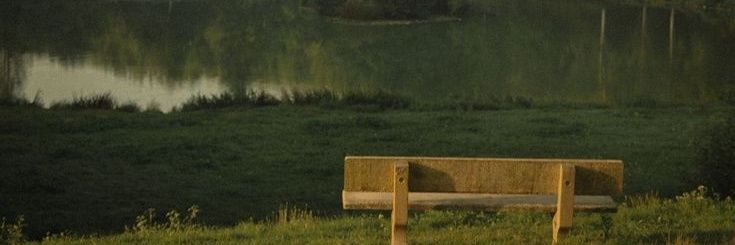 shwangjn's profile banner image