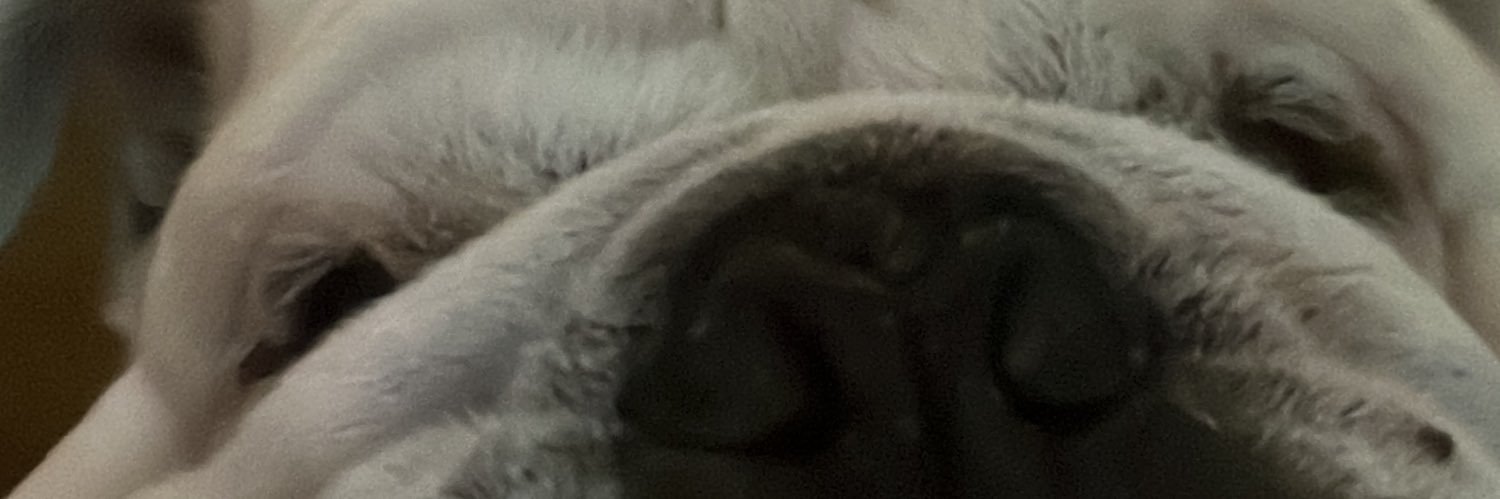 addz's profile banner image