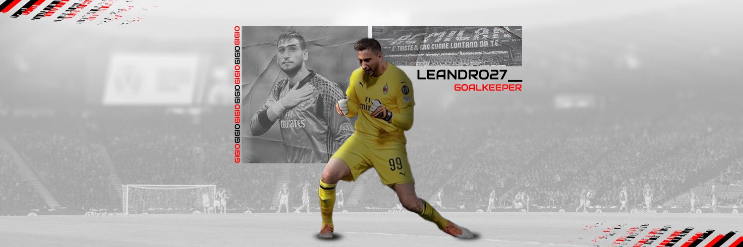 Leandrø banner