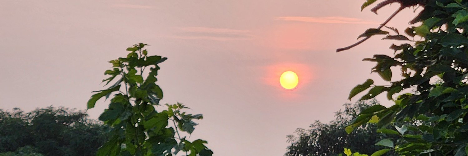 Anamika_Anaa's profile banner image
