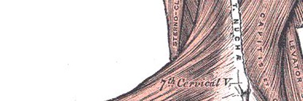 UCPracticeTips Profile Banner