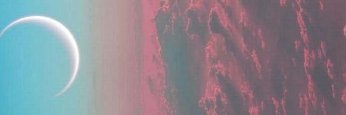 Reem Hussein banner