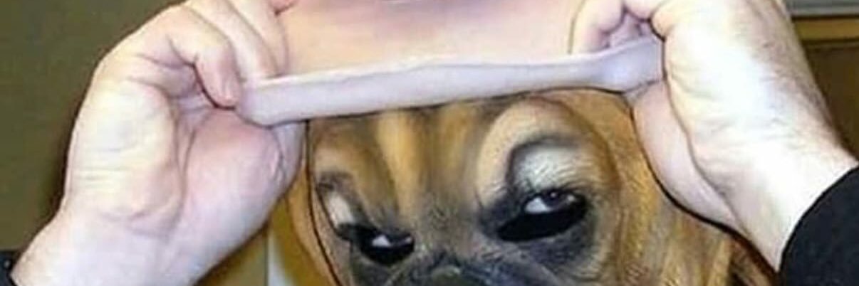 HALvideoMD's profile banner image