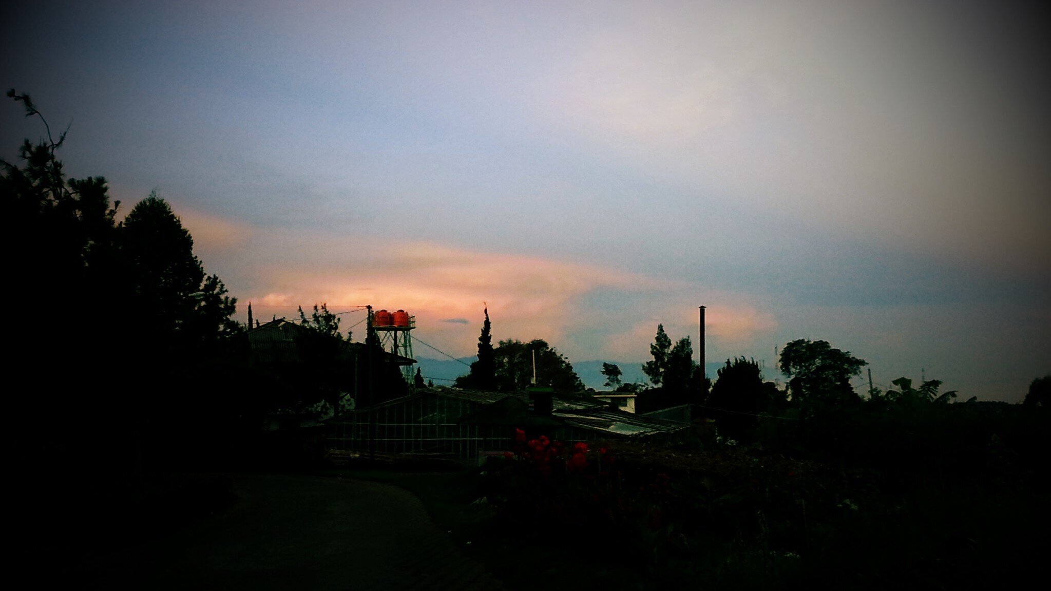 anggienp's profile banner image