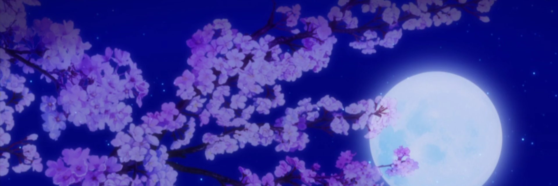 camla91's profile banner image