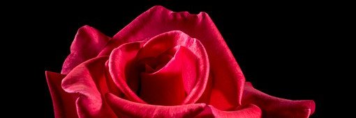 Mohammed Ahmed banner