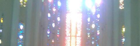 Tag45546273's profile banner image