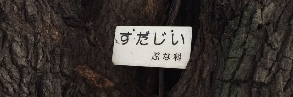 スダナツキ banner