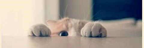 HusenSaefulRahman banner