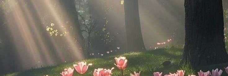 hakinyak's profile banner image