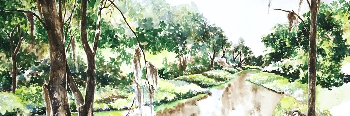 avonplinsky's profile banner image