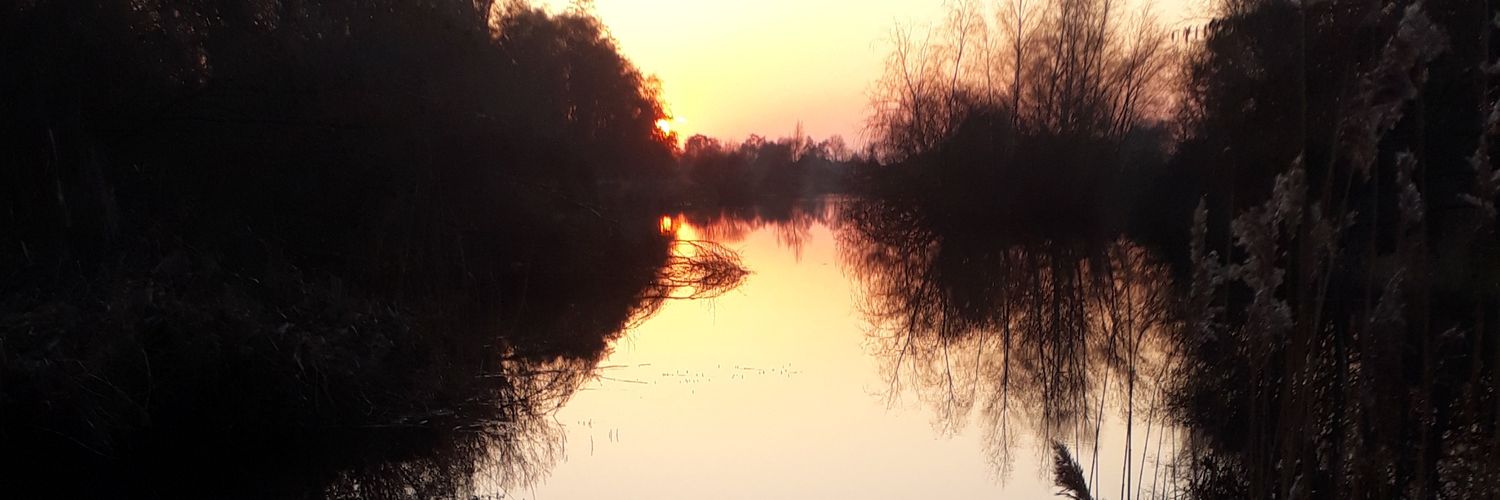 Rick Huizinga banner