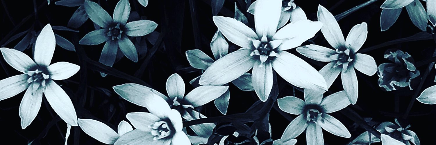 buhibuhimami's profile banner image