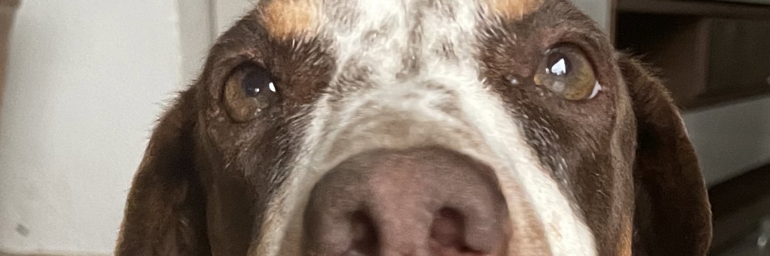 emurada2's profile banner image