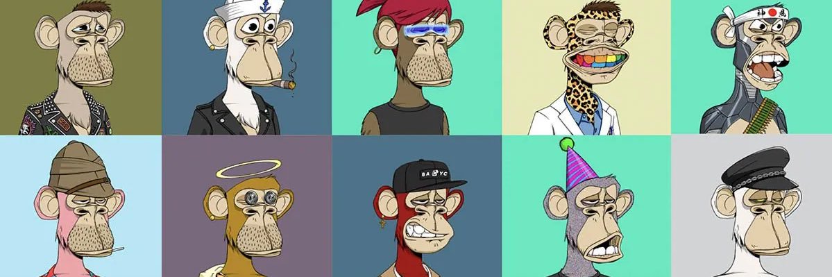 bayc1236's profile banner image