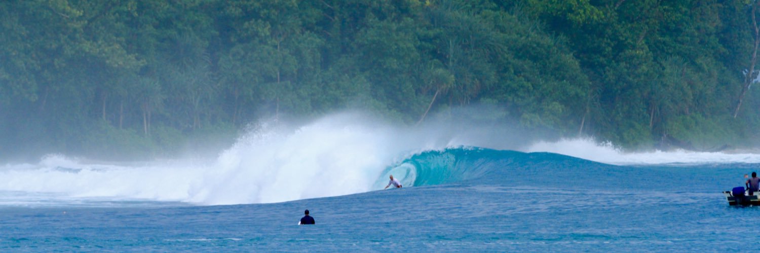 Tim Hogg 💙 banner