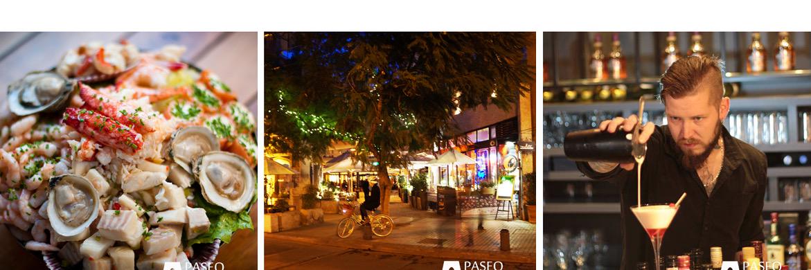 PaseoBarrioLastarria banner