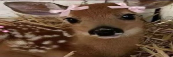 DanteKurutta Profile Banner