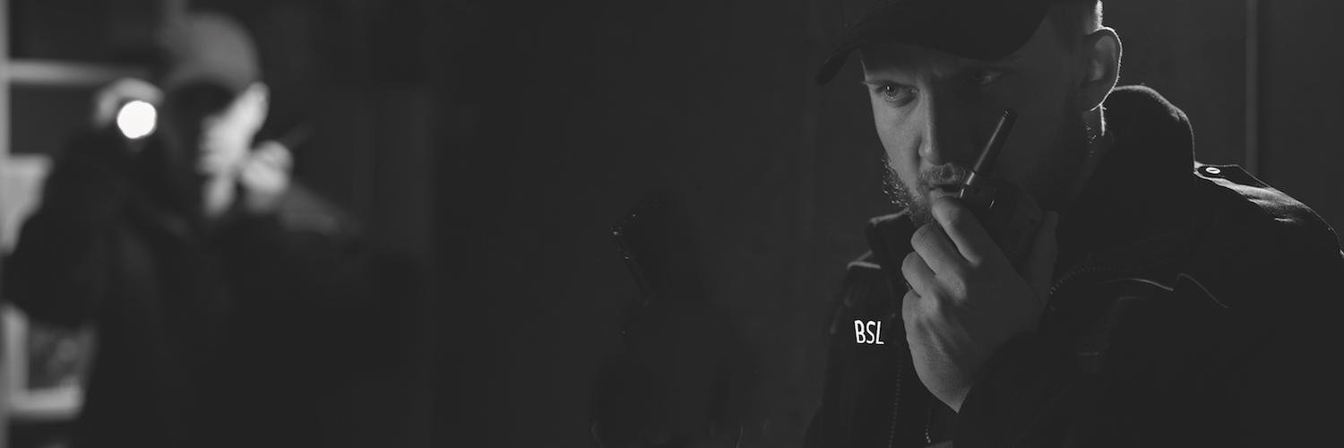 BSL GROUPE banner