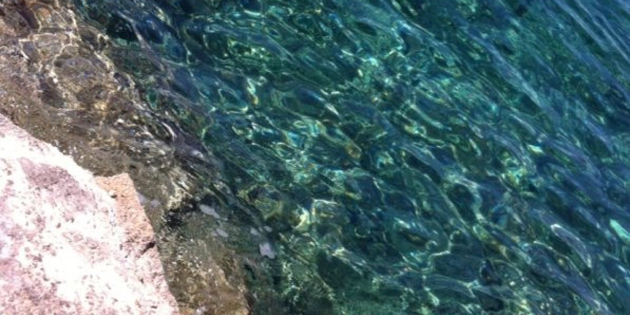 MariaDelgadoRoe's profile banner image