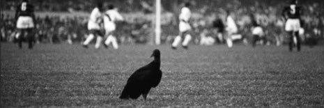pedenrique7's profile banner image