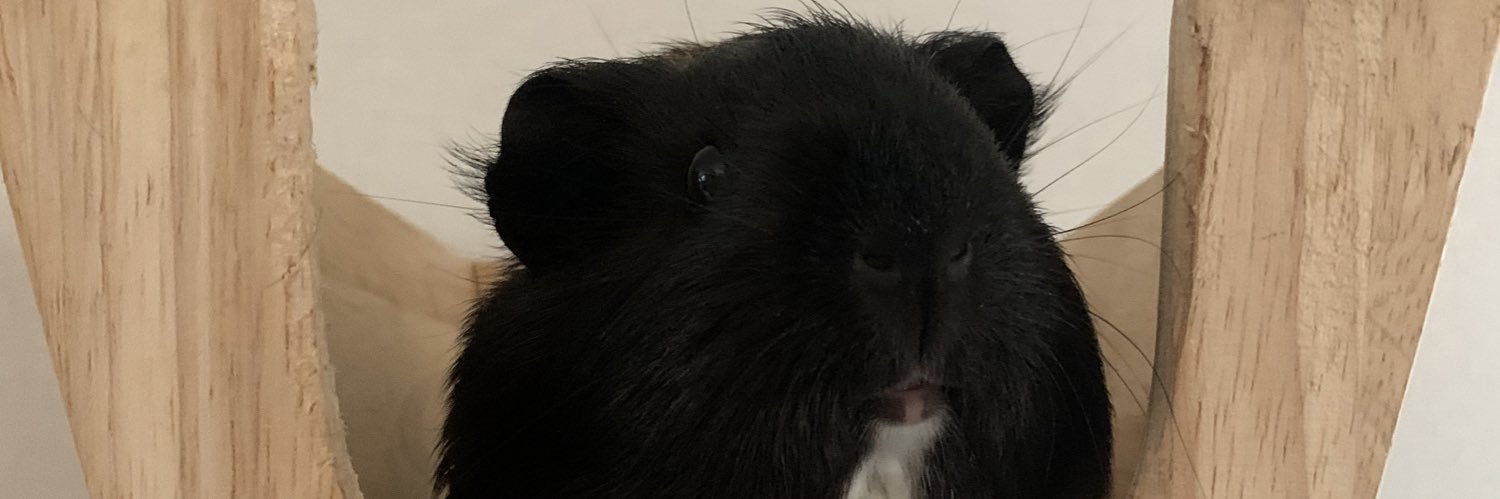 Asa5hanHaTabe4's profile banner image