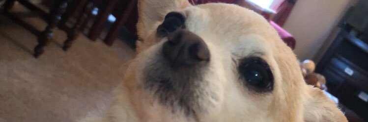 xGlock_'s profile banner image