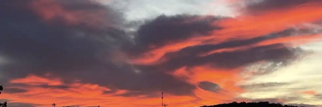 theviking's profile banner image