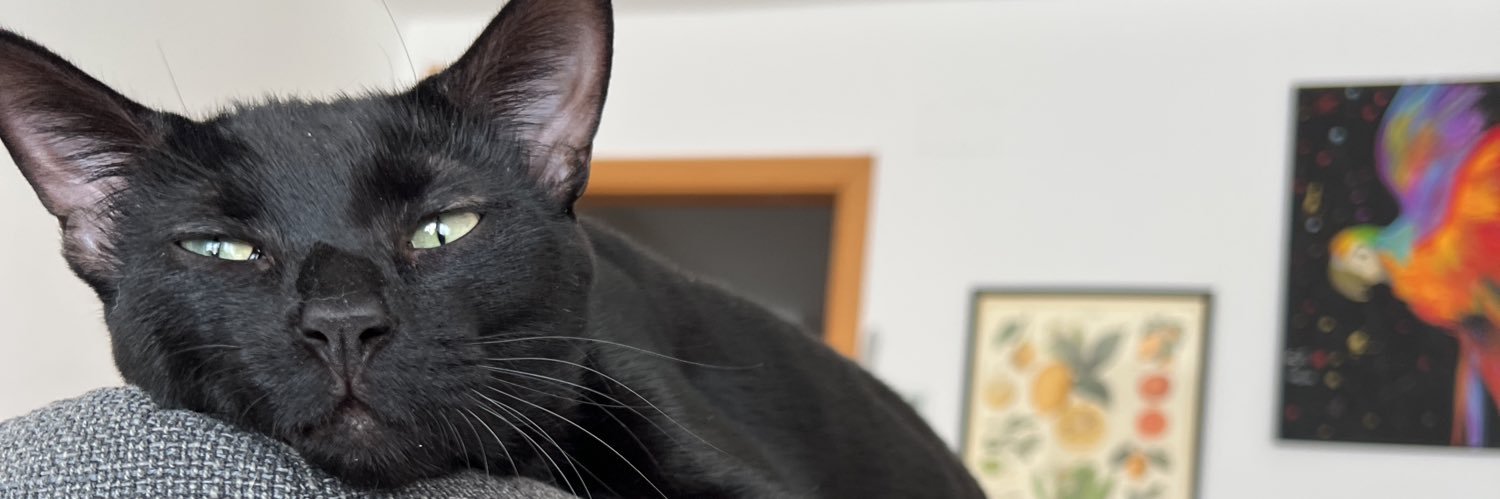 Jose Rico Mendiola banner