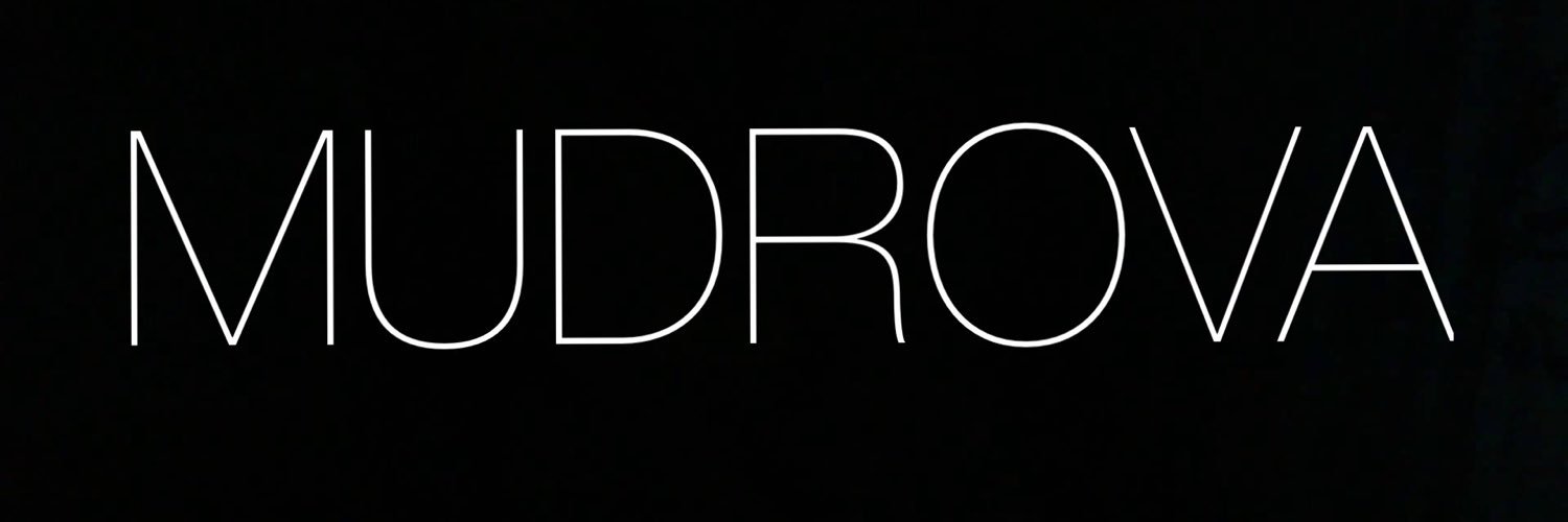 alinamudrova's profile banner image
