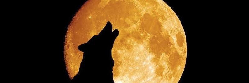 Osky_VII's profile banner image