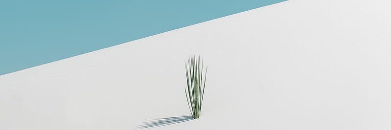 filos_ITA's profile banner image