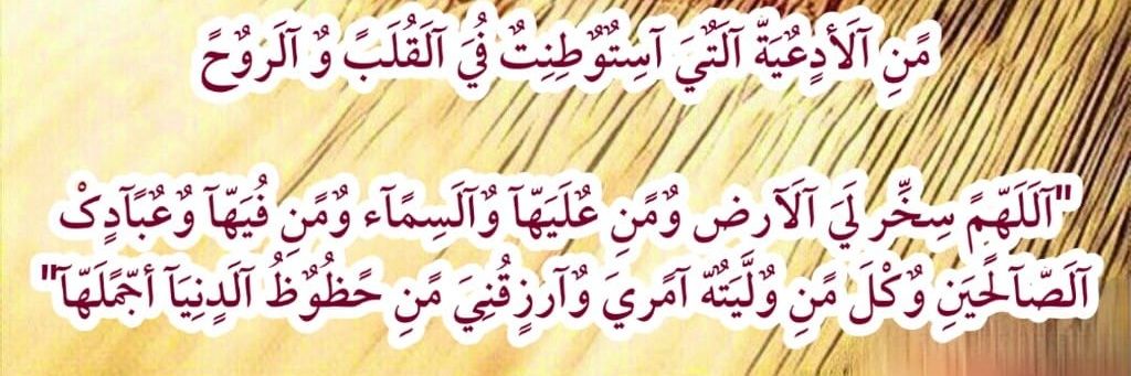 مصطفى الخولاني banner