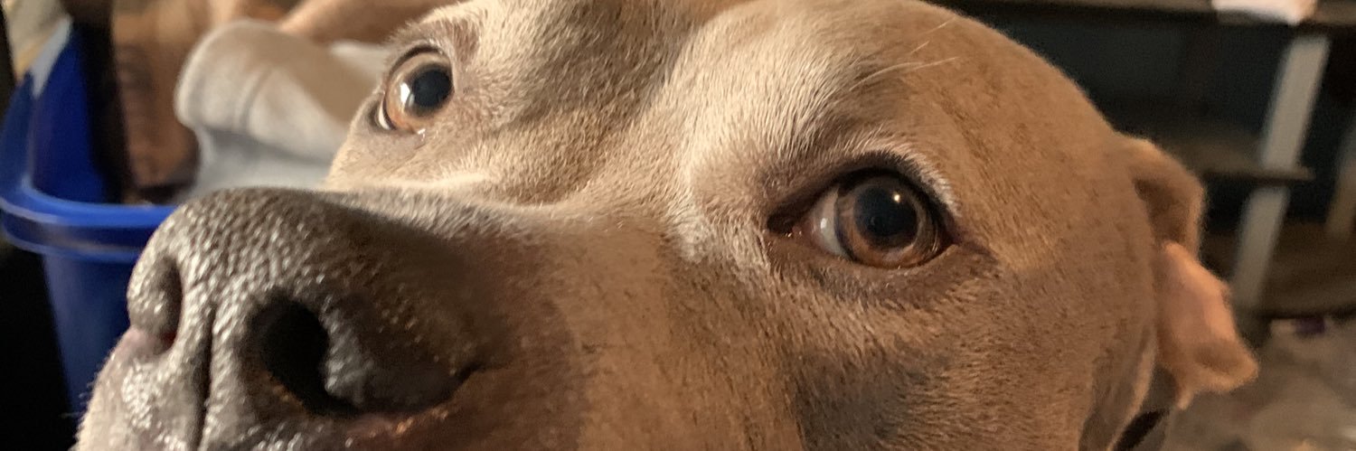 ClaudiaFaceAss's profile banner image