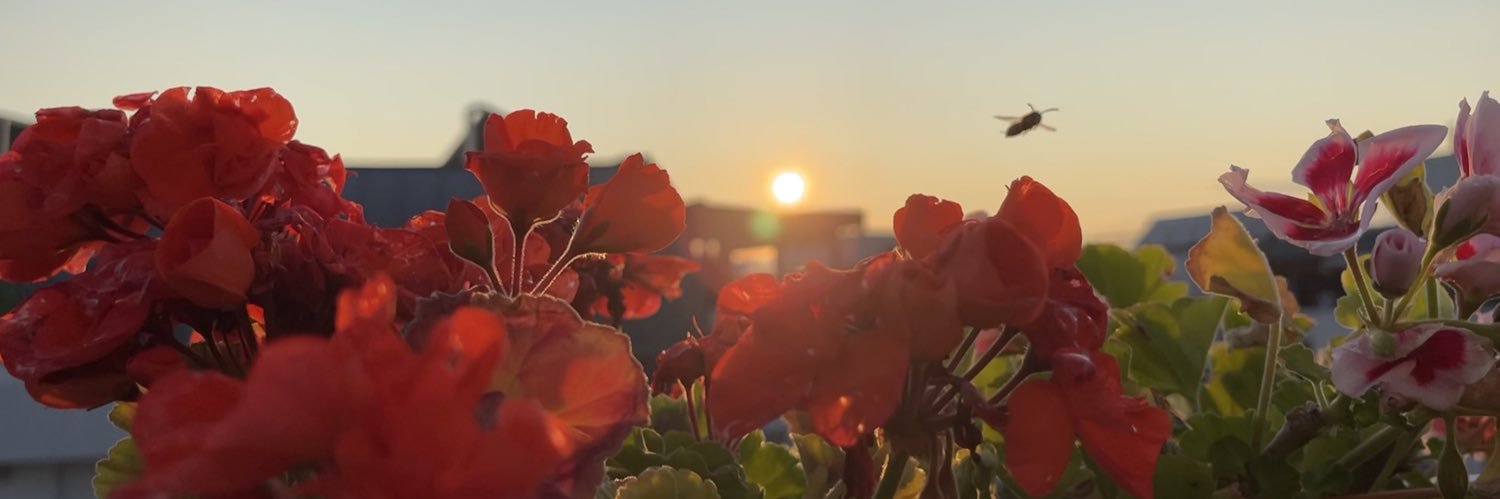 Sincerly78's profile banner image
