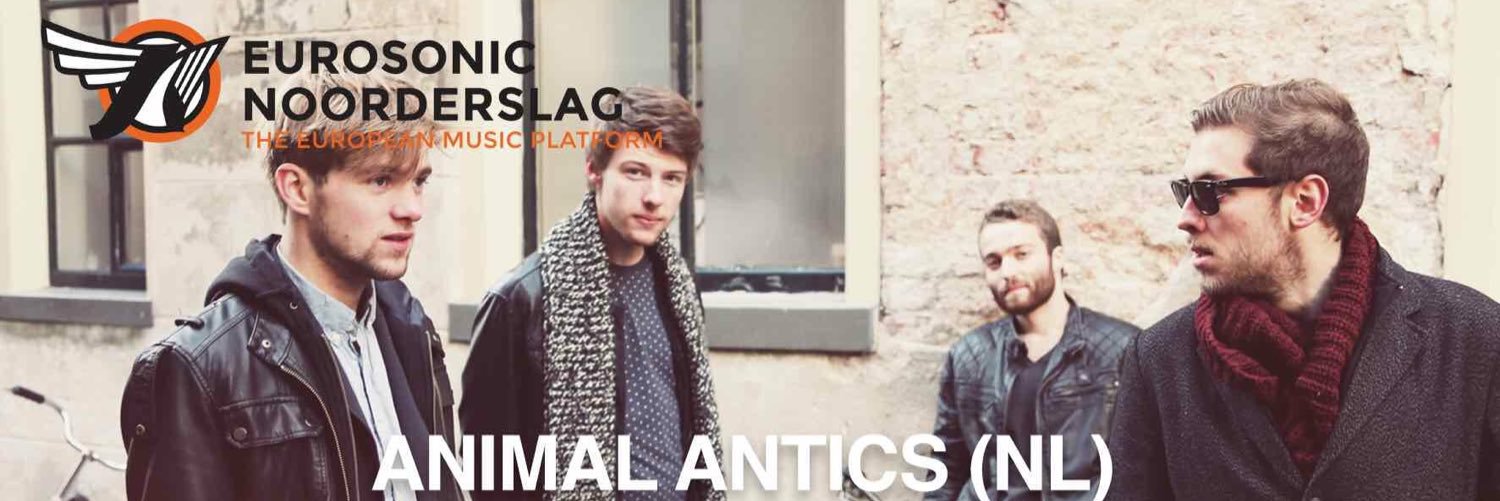 Animal_Antics's profile banner image