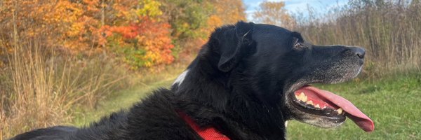 addylwiley Profile Banner
