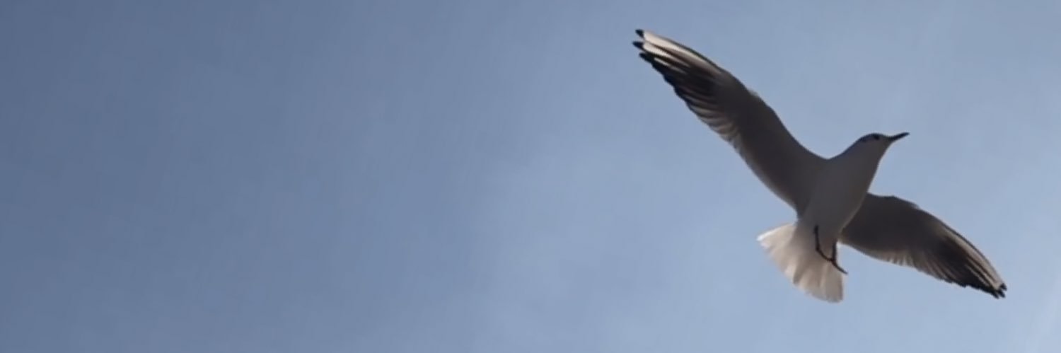 yrcan_'s profile banner image