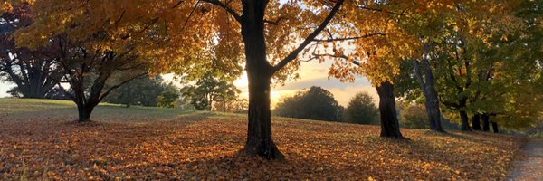 samirashojaee Profile Banner