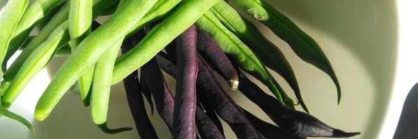 LambethFood Profile Banner