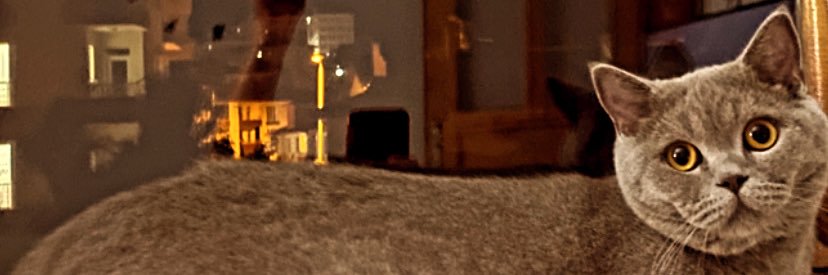 sfymskky's profile banner image