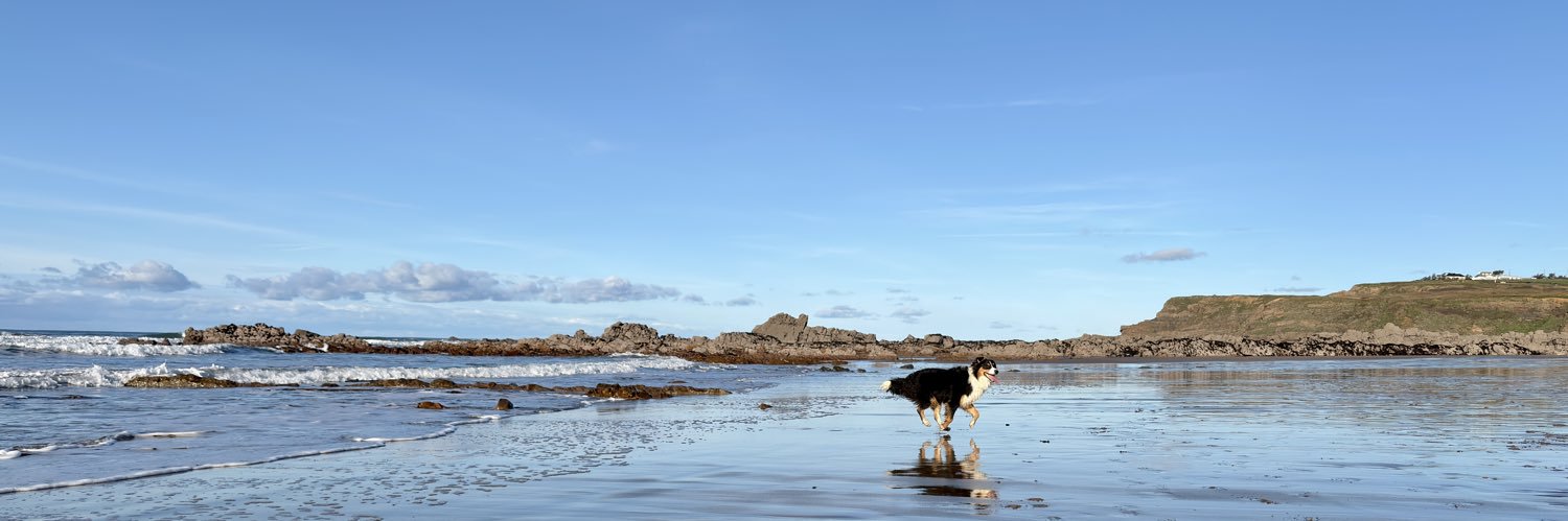 Johnny Mercer banner