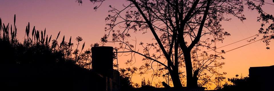 _albertta's profile banner image