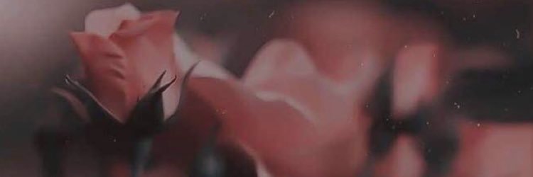 RAWAN banner