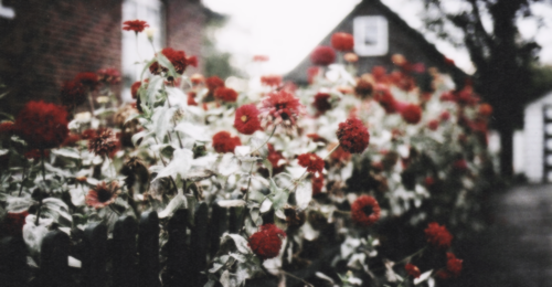 codysplanet's profile banner image