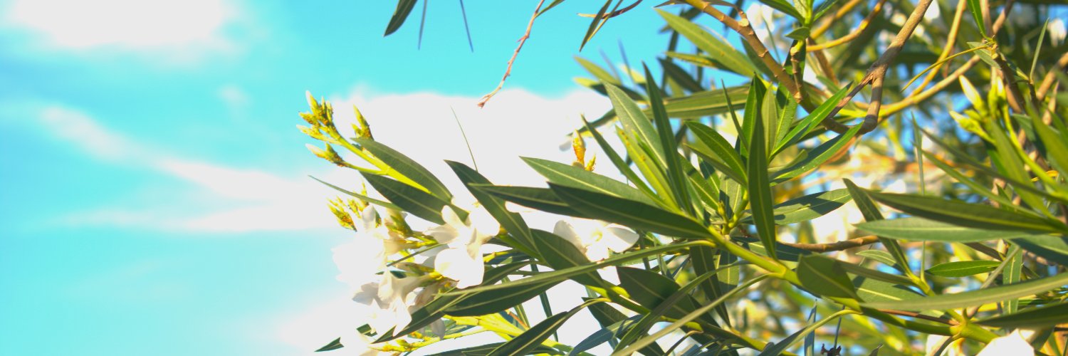 Uriel Porretti banner