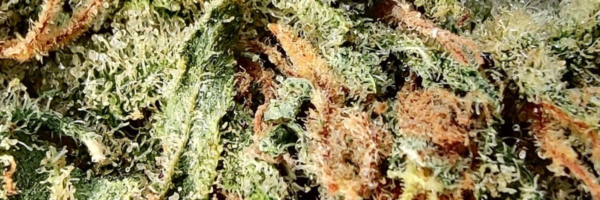 laboque_'s profile banner image
