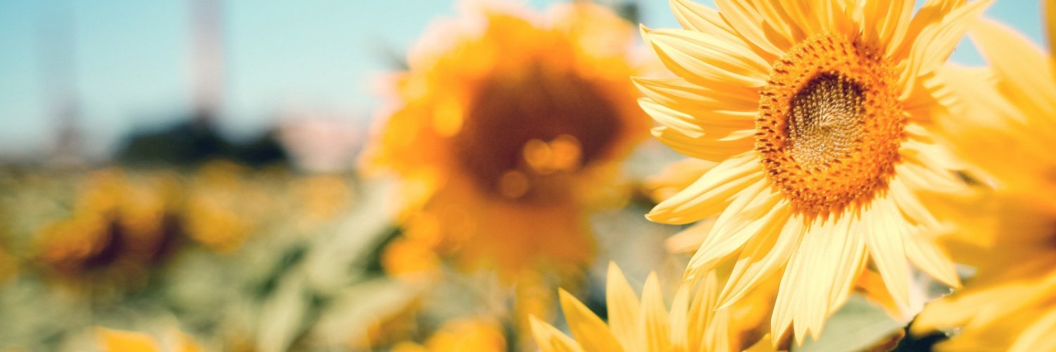 MekiaJae's profile banner image