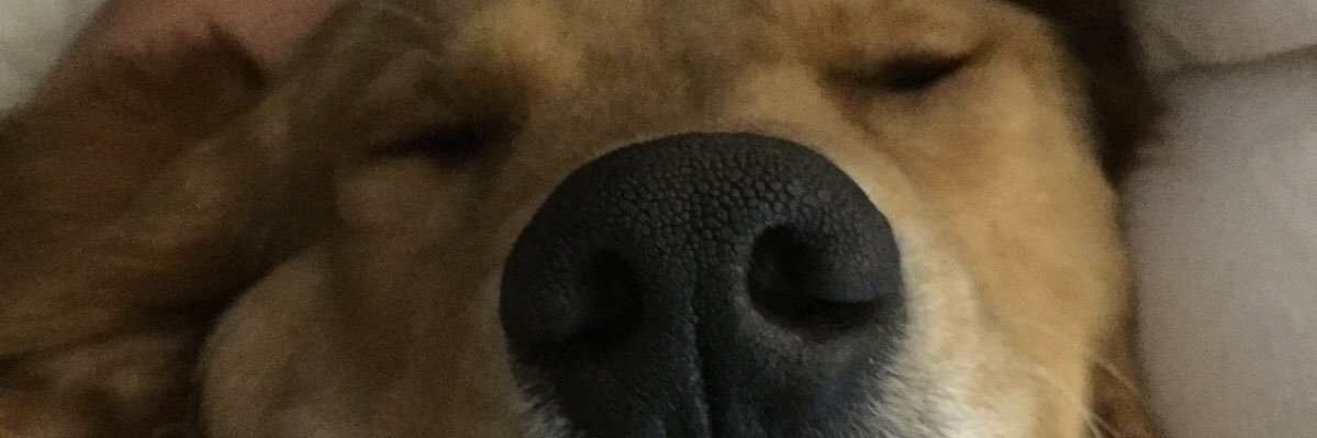 QuinnStaats's profile banner image